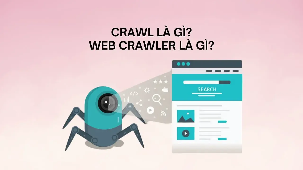 Crawl là gì? Cách hoạt động của Web Crawler bạn cần biết