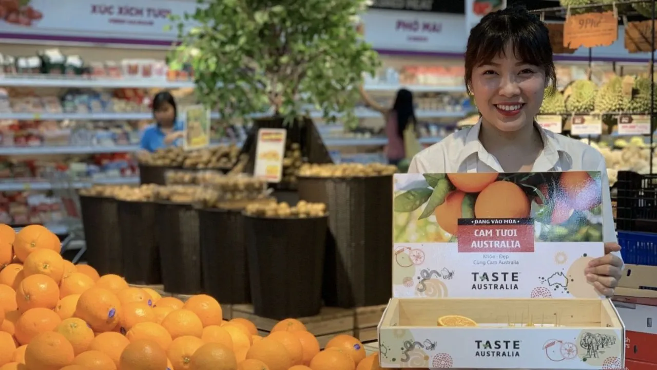 In Sampling Sampling là gì? Làm thế nào triển khai chiến dịch sampling hiệu quả?