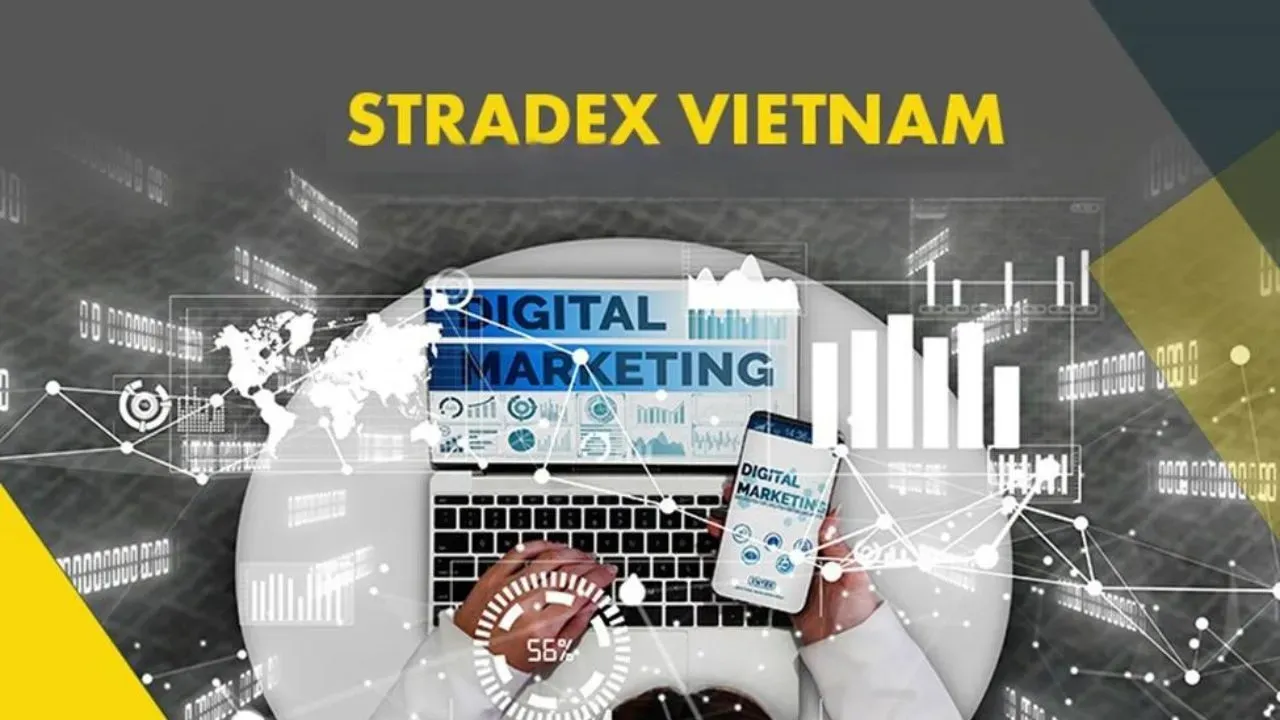 Stradex Stradex Vietnam tuyển dụng: Thu hút nhân tài ngành Marketing