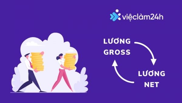 Hướng dẫn đổi lương gross sang net và ngược lại cùng Việc Làm 24h￼