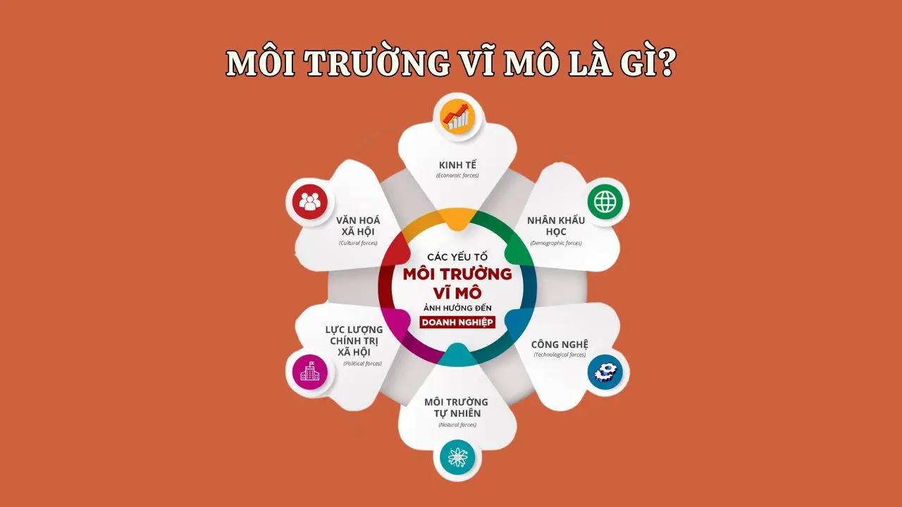 môi trường vĩ mô