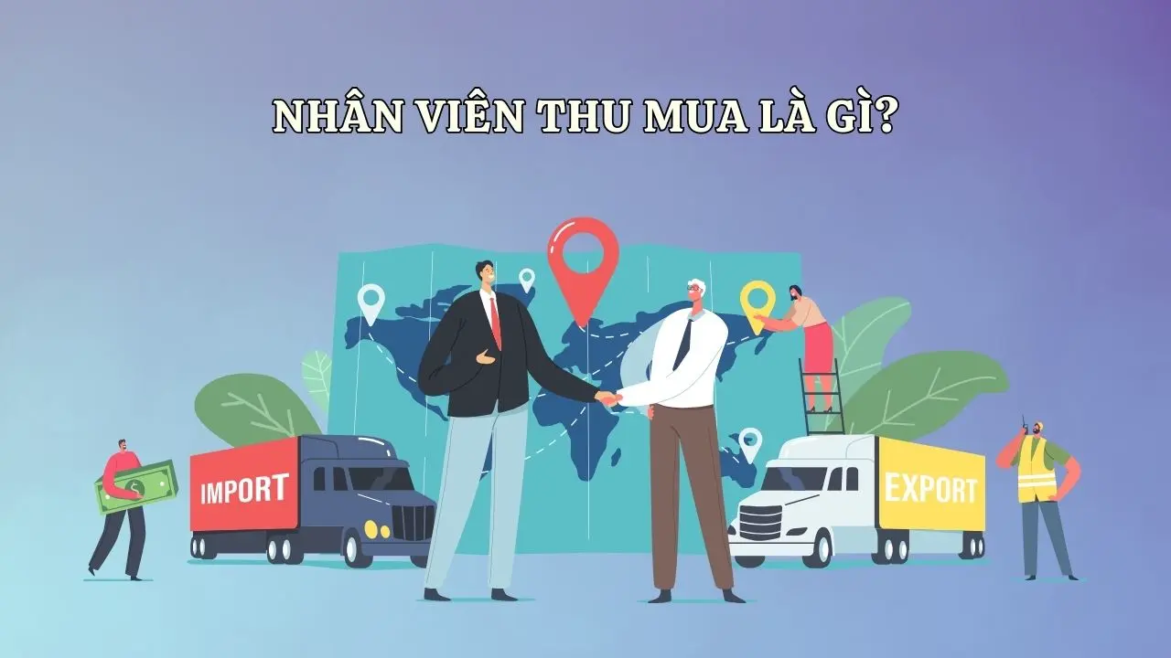 lộ trình thăng tiến của nhân viên thu mua