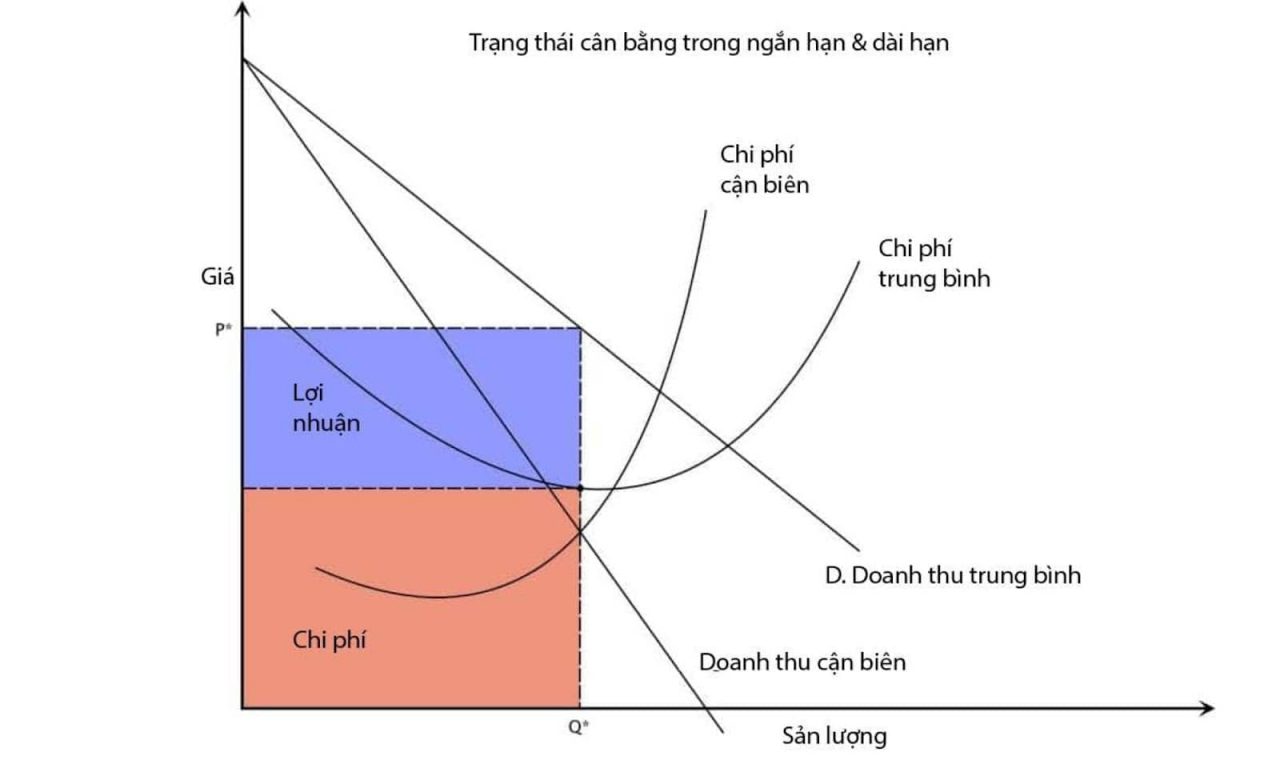 Các yếu tố ảnh hưởng đến chi phí cận biên.